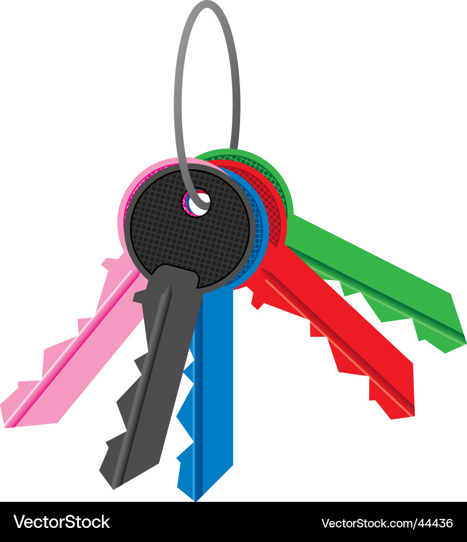 Set of Keys vector image