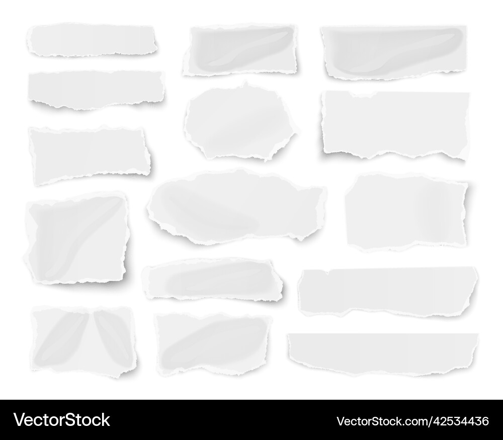 Set of paper different shapes scraps fragments vector image