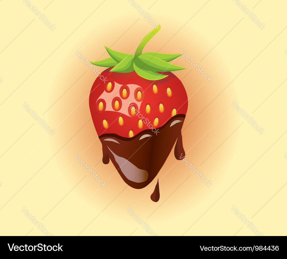 Strawberry and Chocolate Delight Vector Image