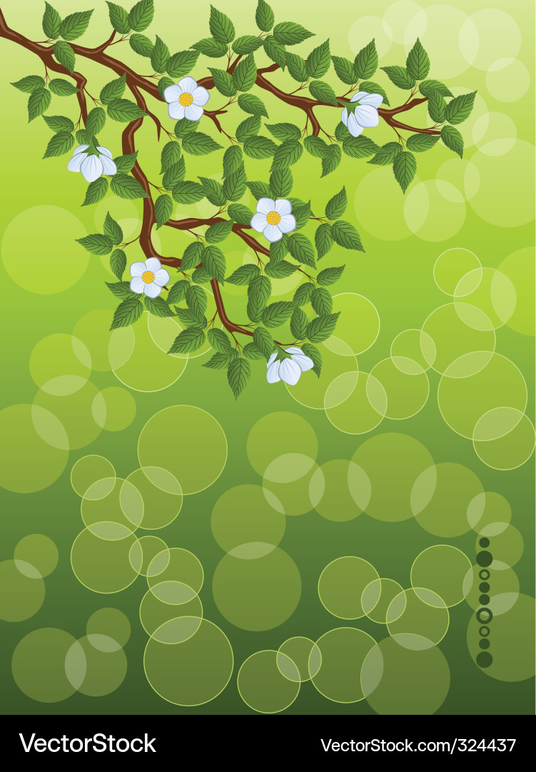 Floral Branch Green Background Vector Image