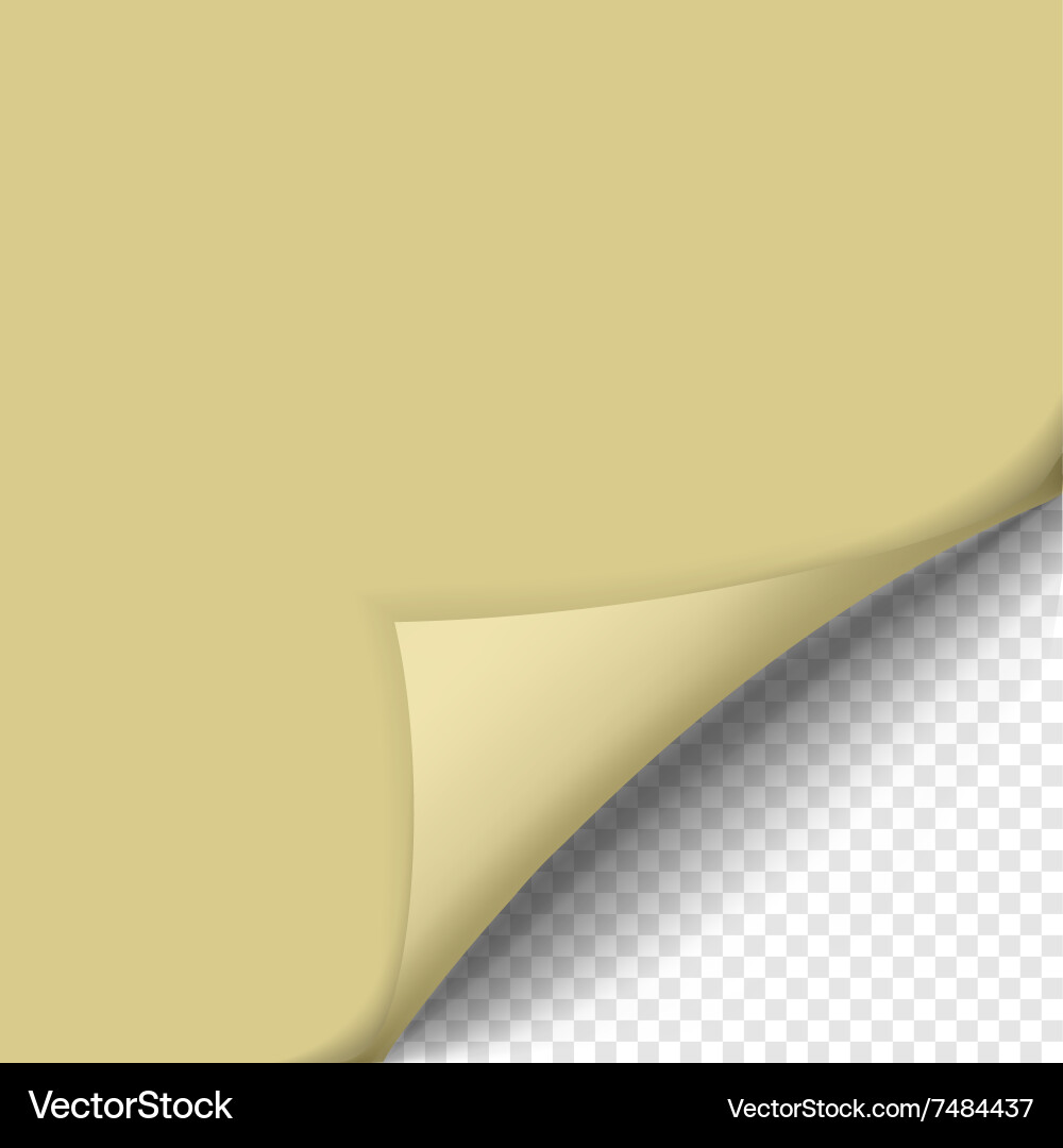 Page curl with shadow on blank sheet of paper Vector Image