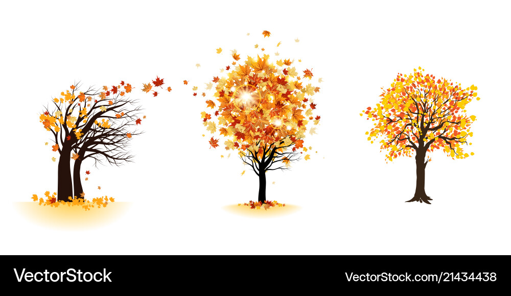 Fall trees set Vector Image