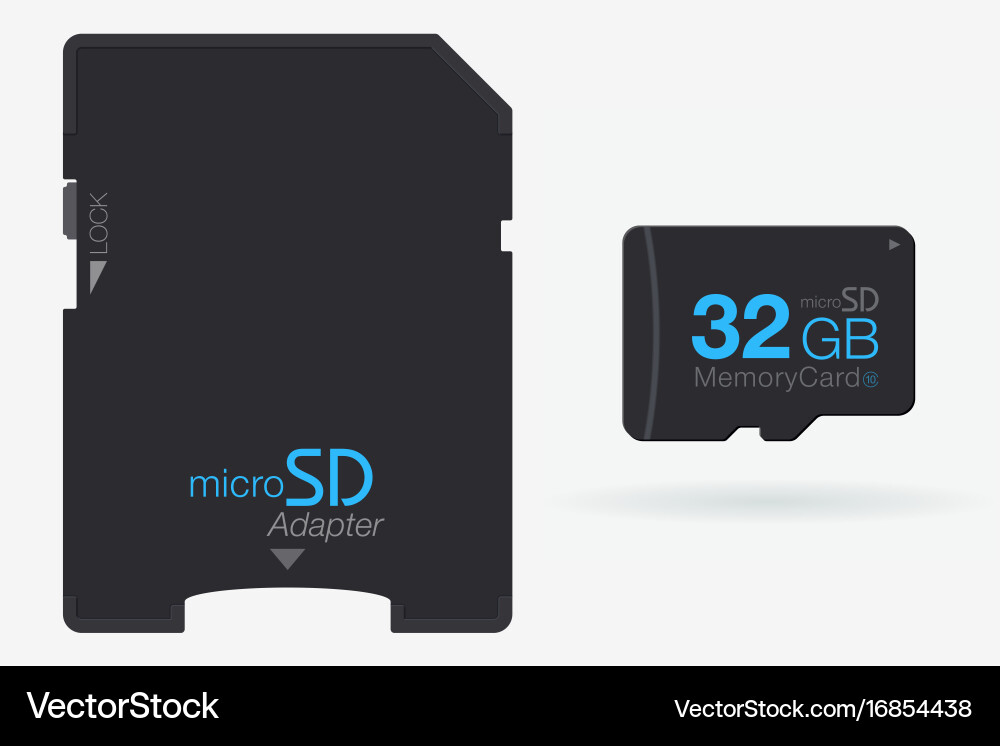 Top view micro sd to memory card adapter vector image