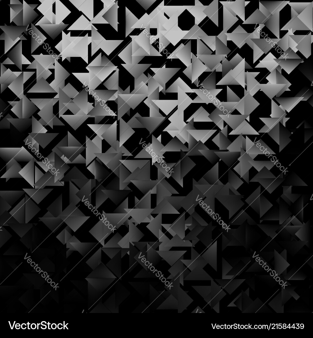 Black and White Triangular Pattern vector image