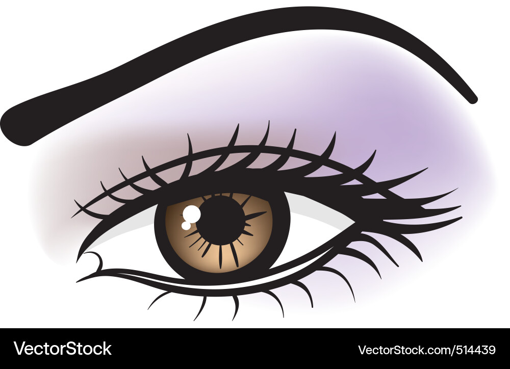 Close-up of a Brown Eye Vector Image