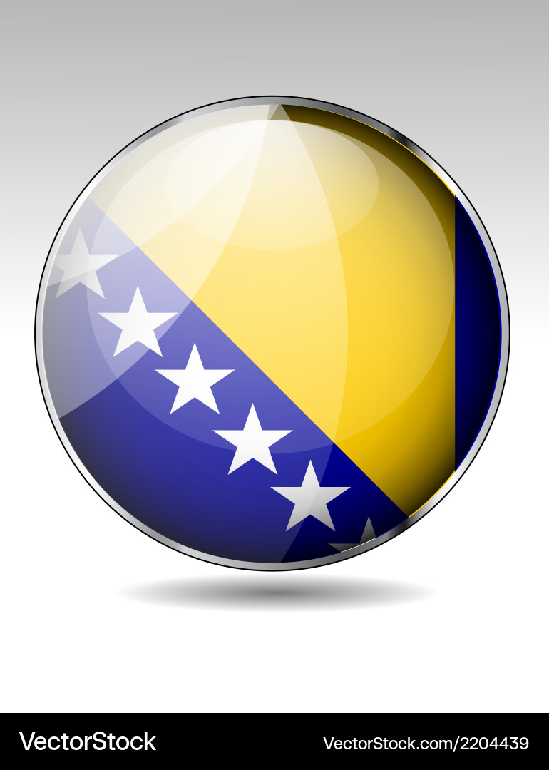 Flag button design elements Vector Image