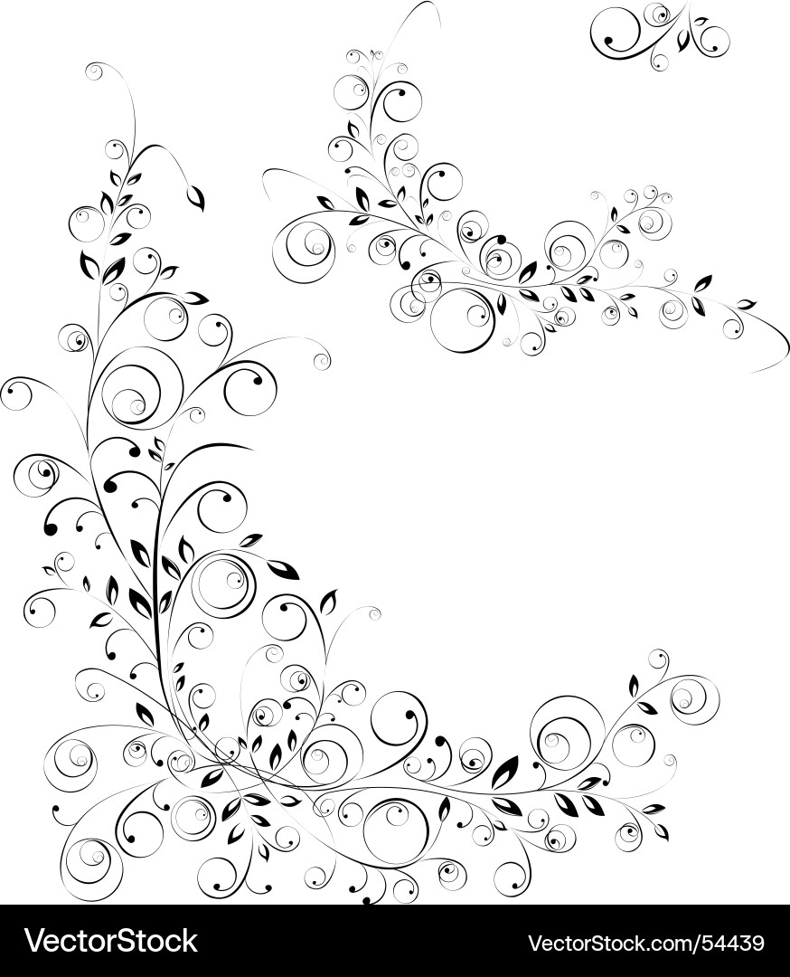 Floral Scroll Elements Vector Image