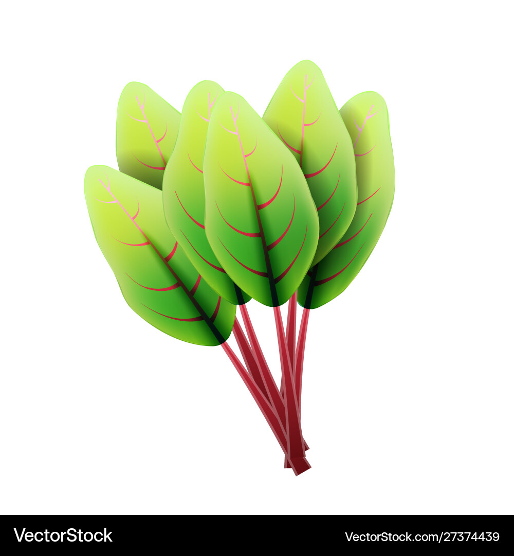 Frische Schwänze kariertes Blatt 3d realistisches Set Frische Schwänze kariertes Blatt 3d realistisches Set vektorbild
