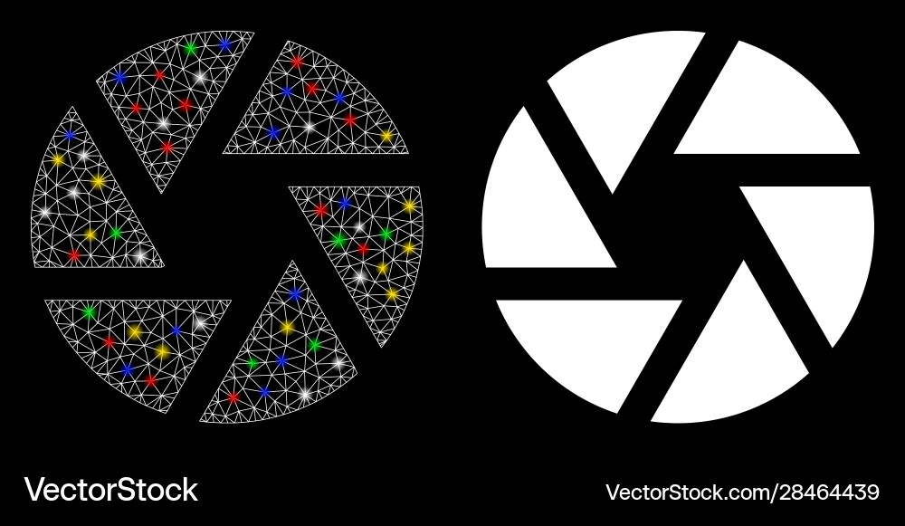 Glossy mesh network shutter icon with flare spots Glossy mesh network shutter icon with flare spots vector image
