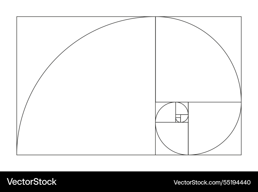 Golden ratio template fibonacci array Golden ratio template fibonacci array vector image