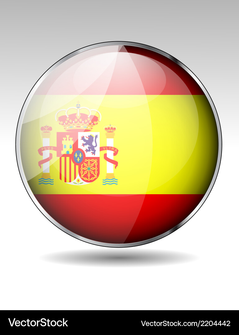 Flag button design elements vector image