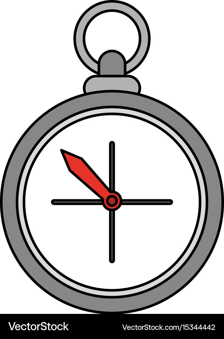 Navigation compass icon image Vector Image