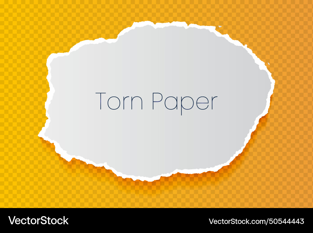 All side torn ripped paper sheet on transparent Vector Image