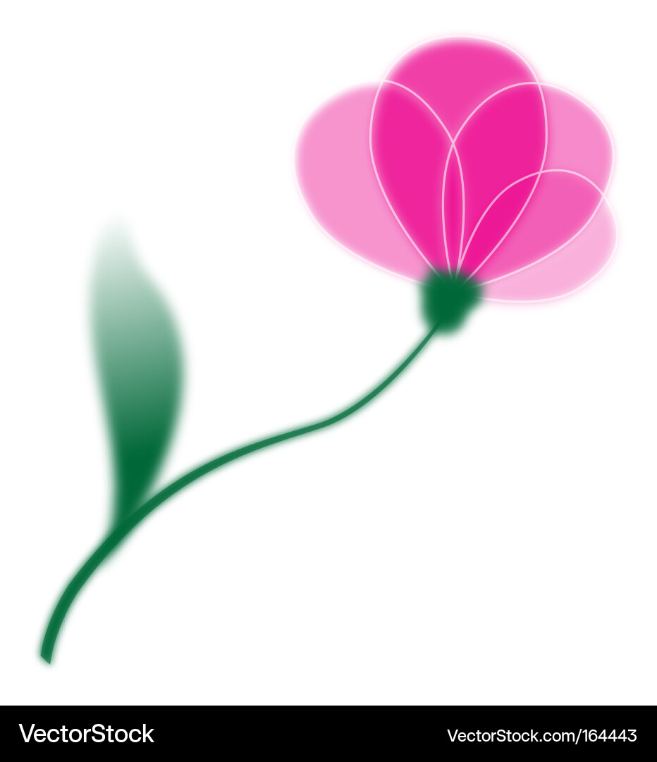 Single flower Vector Image