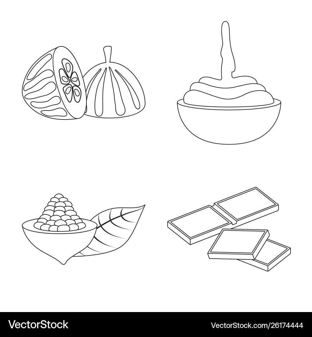 Isolated object cocoa and beans logo Isolated object cocoa and beans logo Vector Image