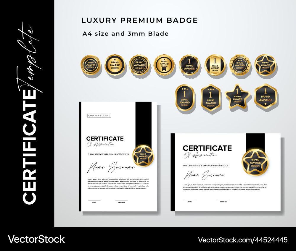 Modern certificate design template Royalty Free Vector Image