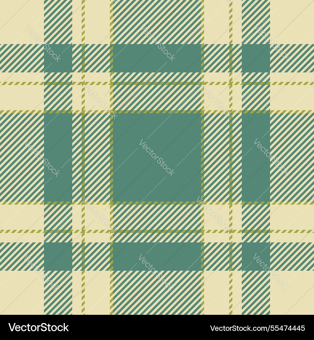 Silky seamless texture pretty pattern check Vector Image