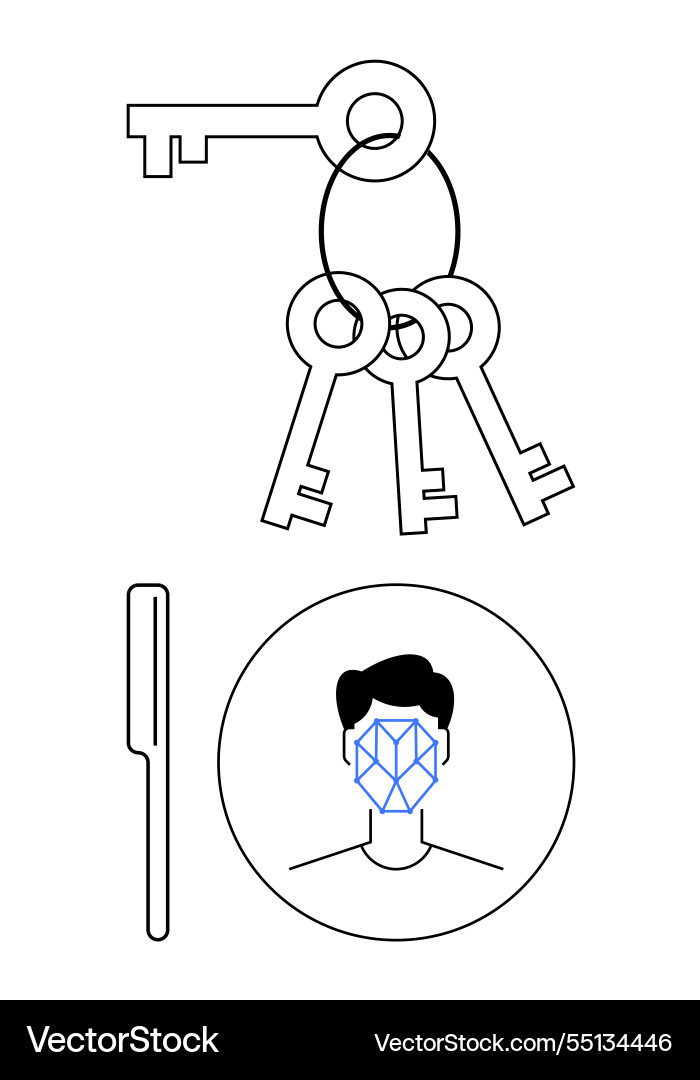 Facial recognition and security concept with keys Facial recognition and security concept with keys vector image