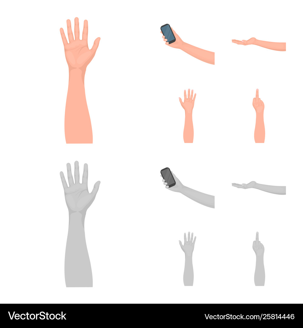 Isolated object and animated sign collection Vector Image