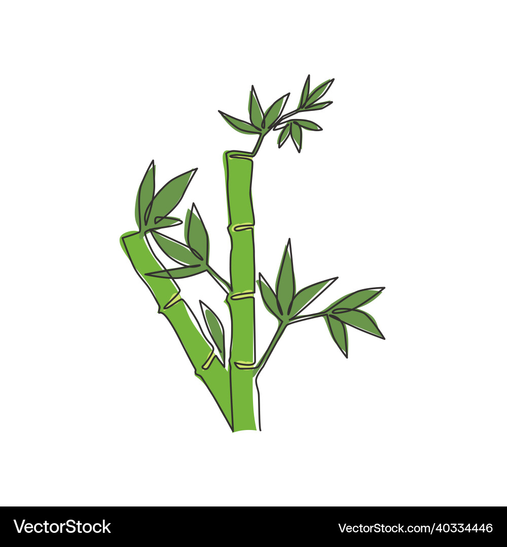 Single continuous line drawing of bamboo trees Single continuous line drawing of bamboo trees vector image