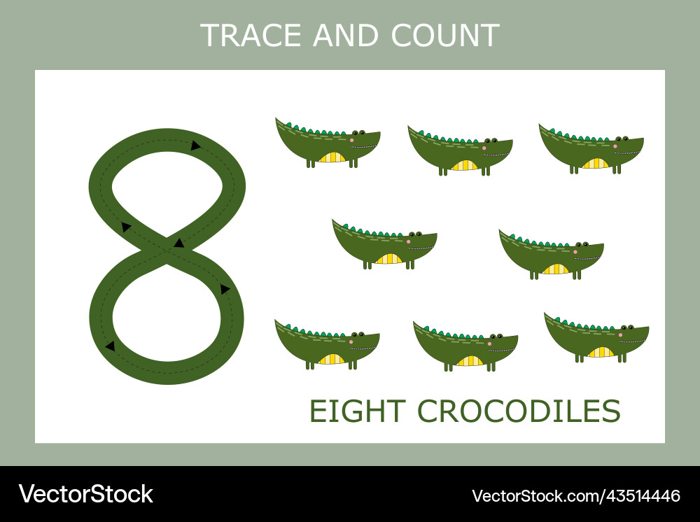 Web Web vector image