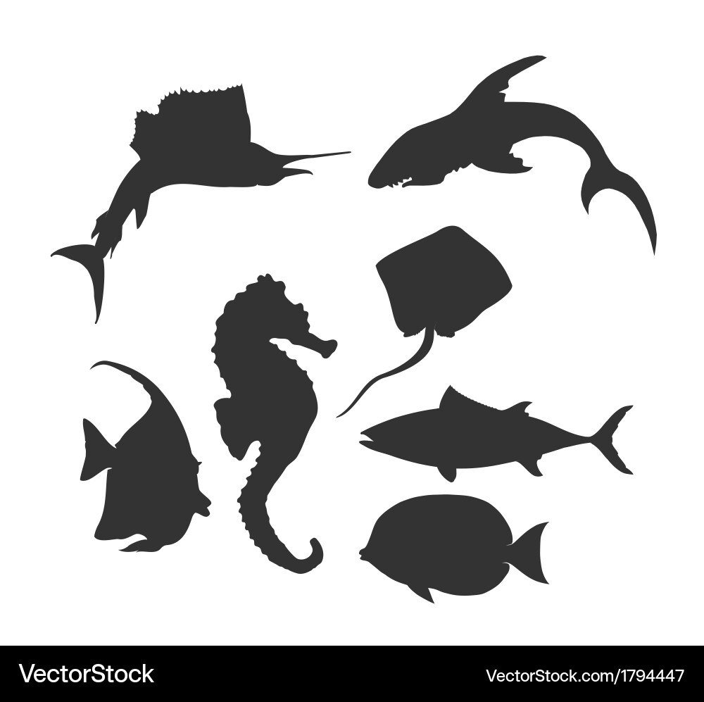 Shark Silhouette Underwater Vector Image