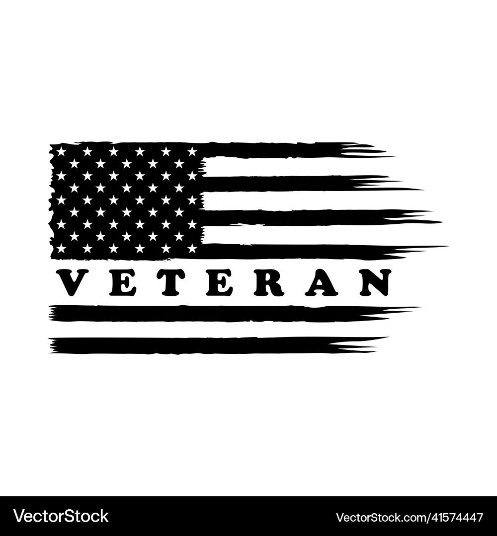 Veteran us flag vector image