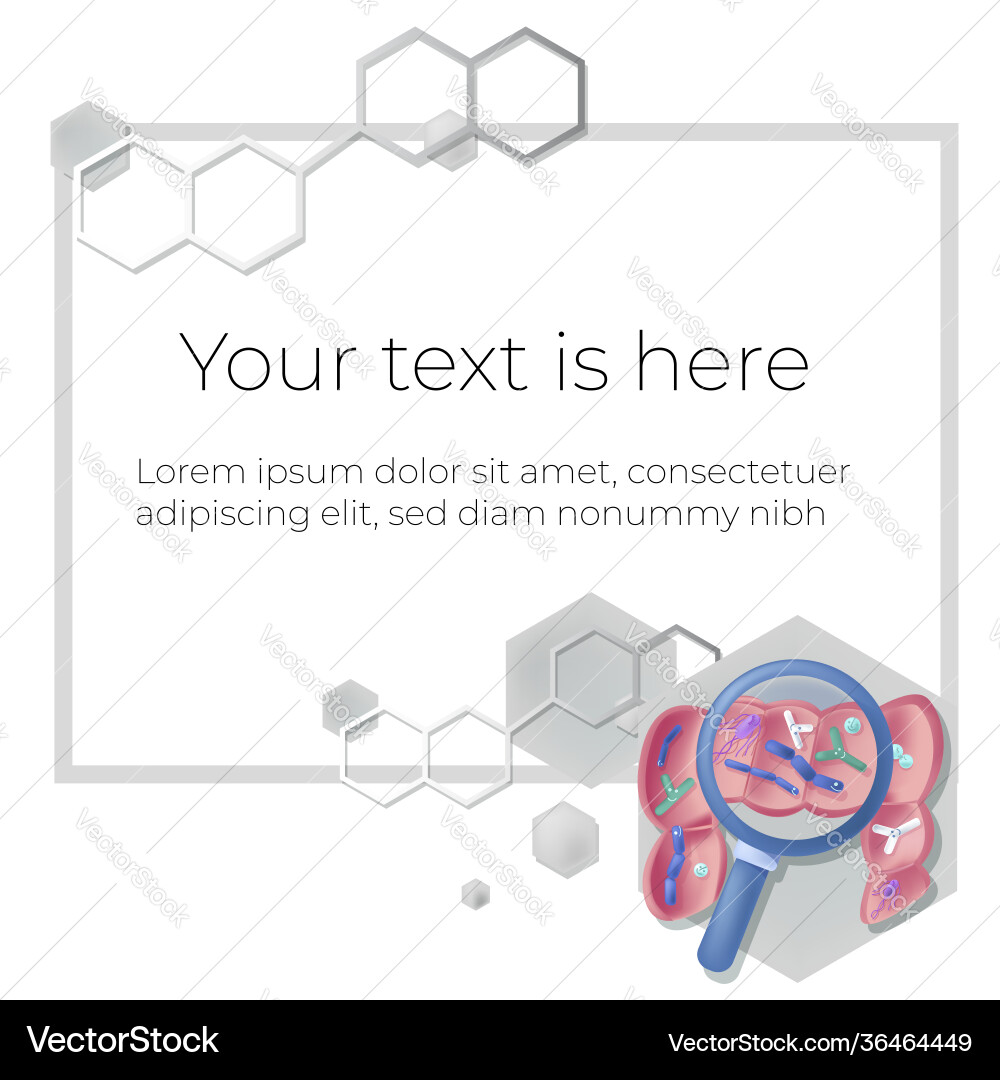 Image template frame for slide design Image template frame for slide design vector image