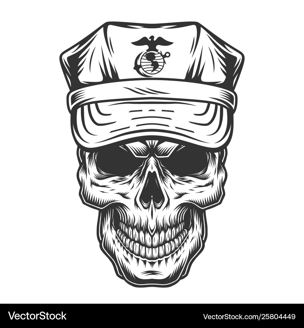 Military Skull in Cap vector image