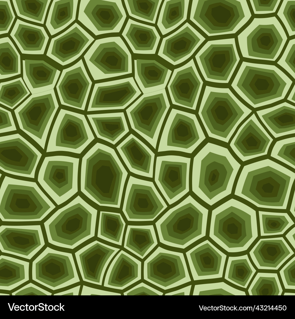 Abstract modern turtle shell seamless pattern Abstract modern turtle shell seamless pattern vector image