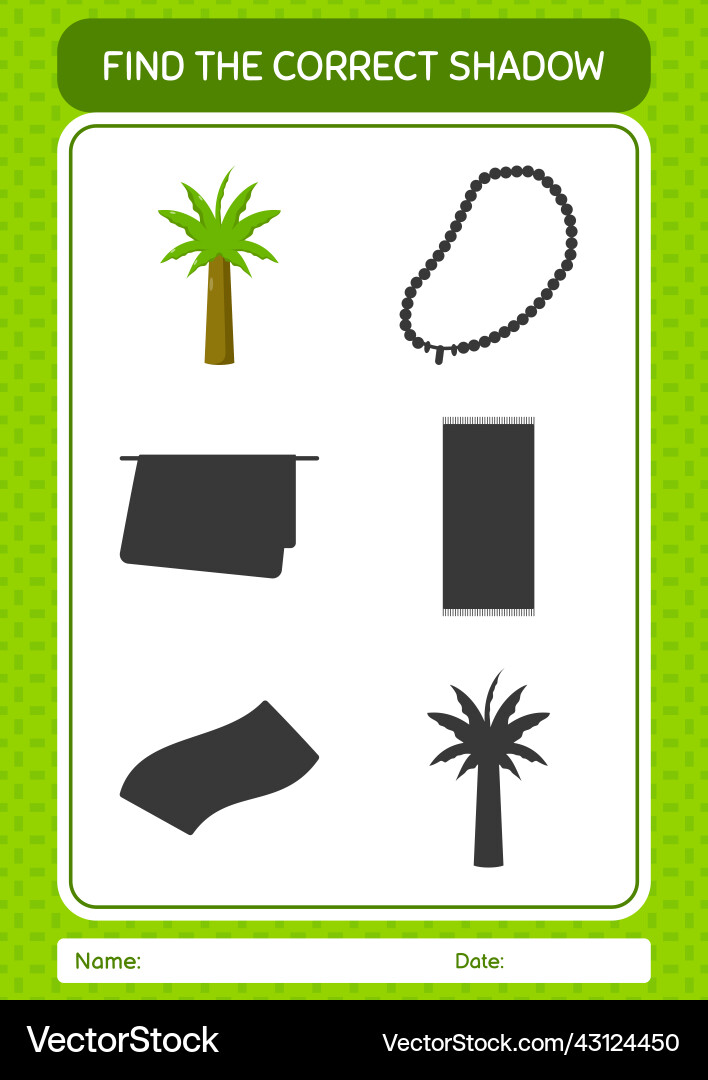 Find the correct shadows game with palm tree Find the correct shadows game with palm tree vector image