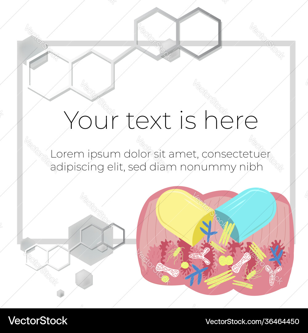 Image template frame for slide design Image template frame for slide design vector image