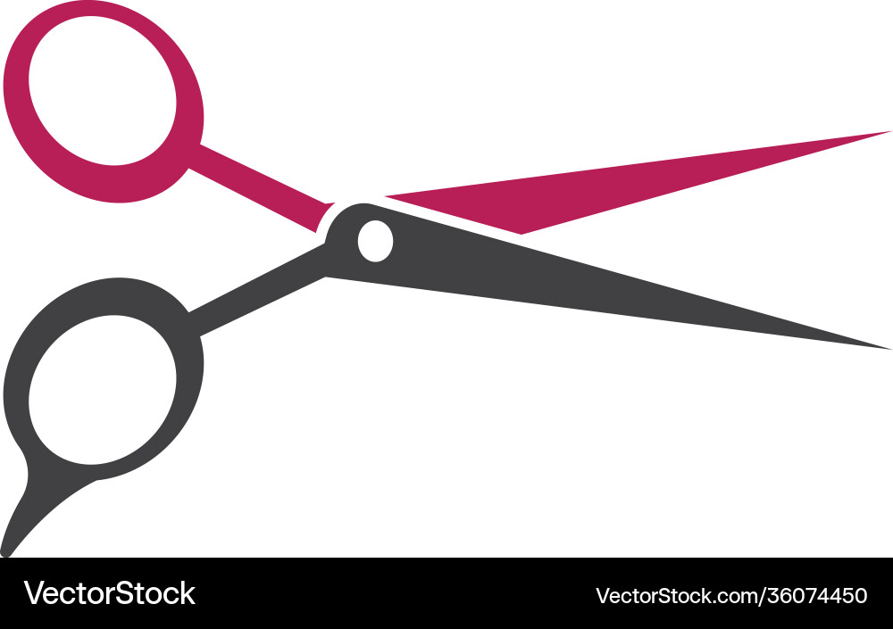 Scissors Collection vector image