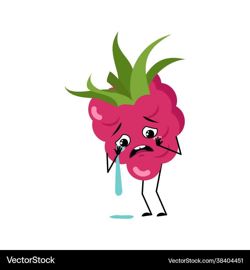 Cute raspberry character with crying and tears Cute raspberry character with crying and tears vector image