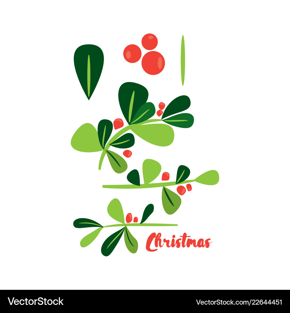 Feste Holly Berry Weihnachten vektorbild