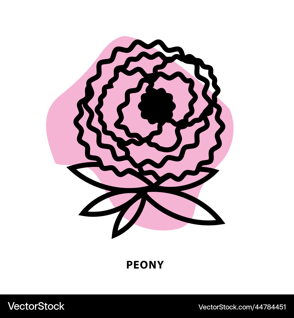 Peony linear icon design for application or web Peony linear icon design for application or web vector image