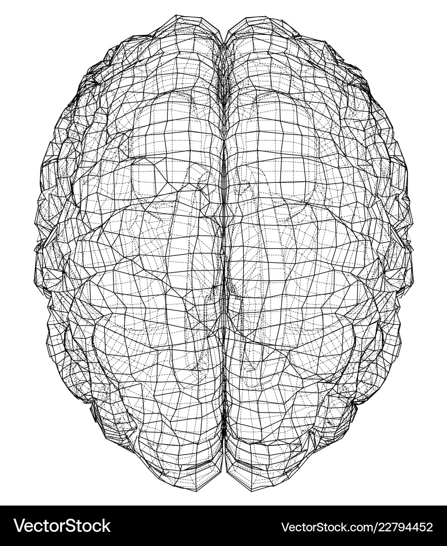 3D Wireframe Brain Rendering vector image