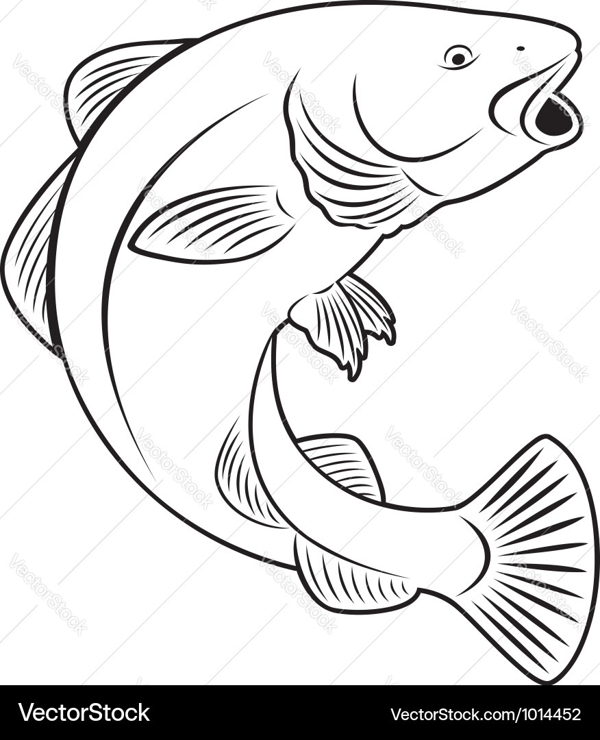 Atlantic Cod Fish vector image