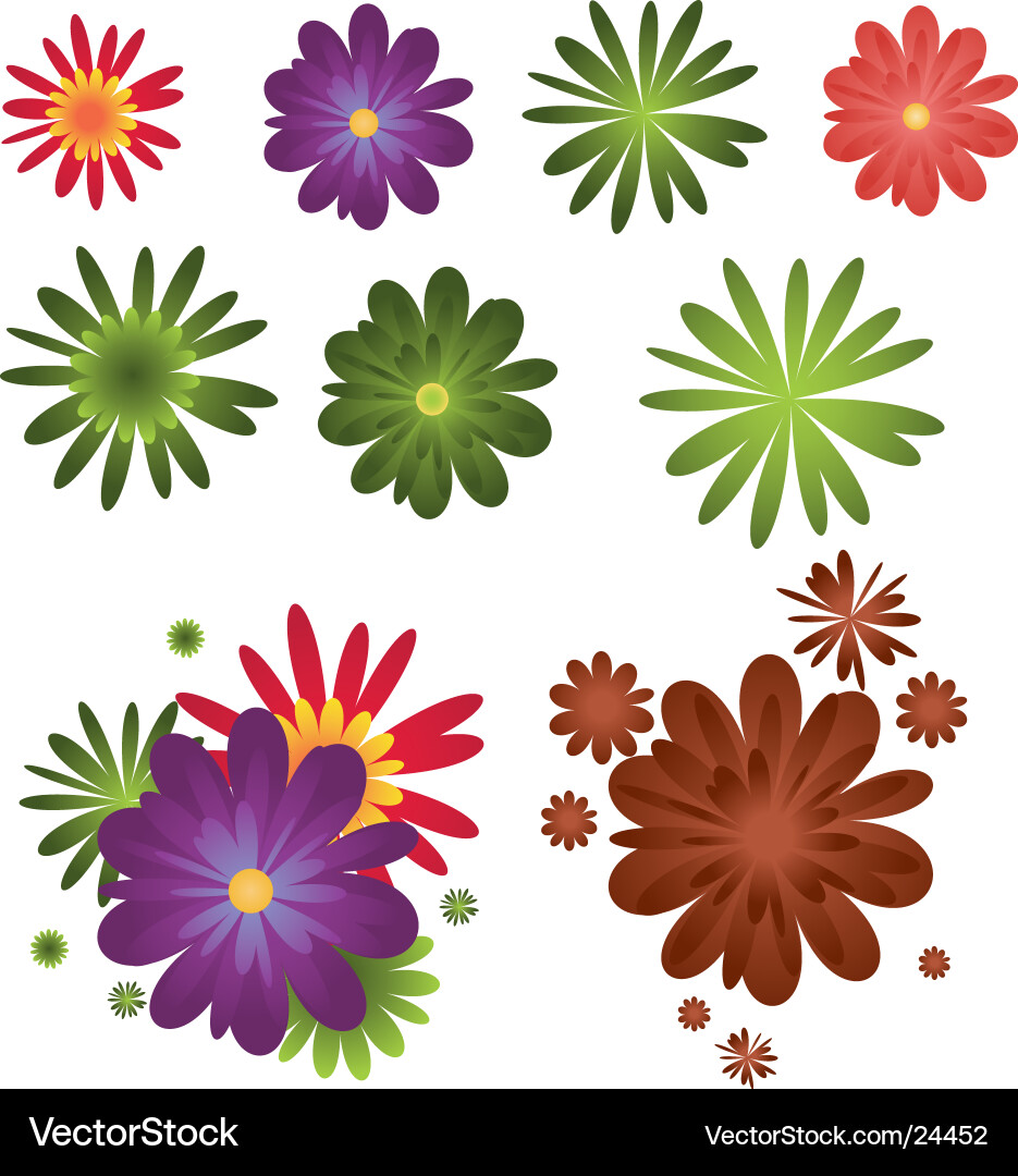 Floral Elements & Patterns Vector Image