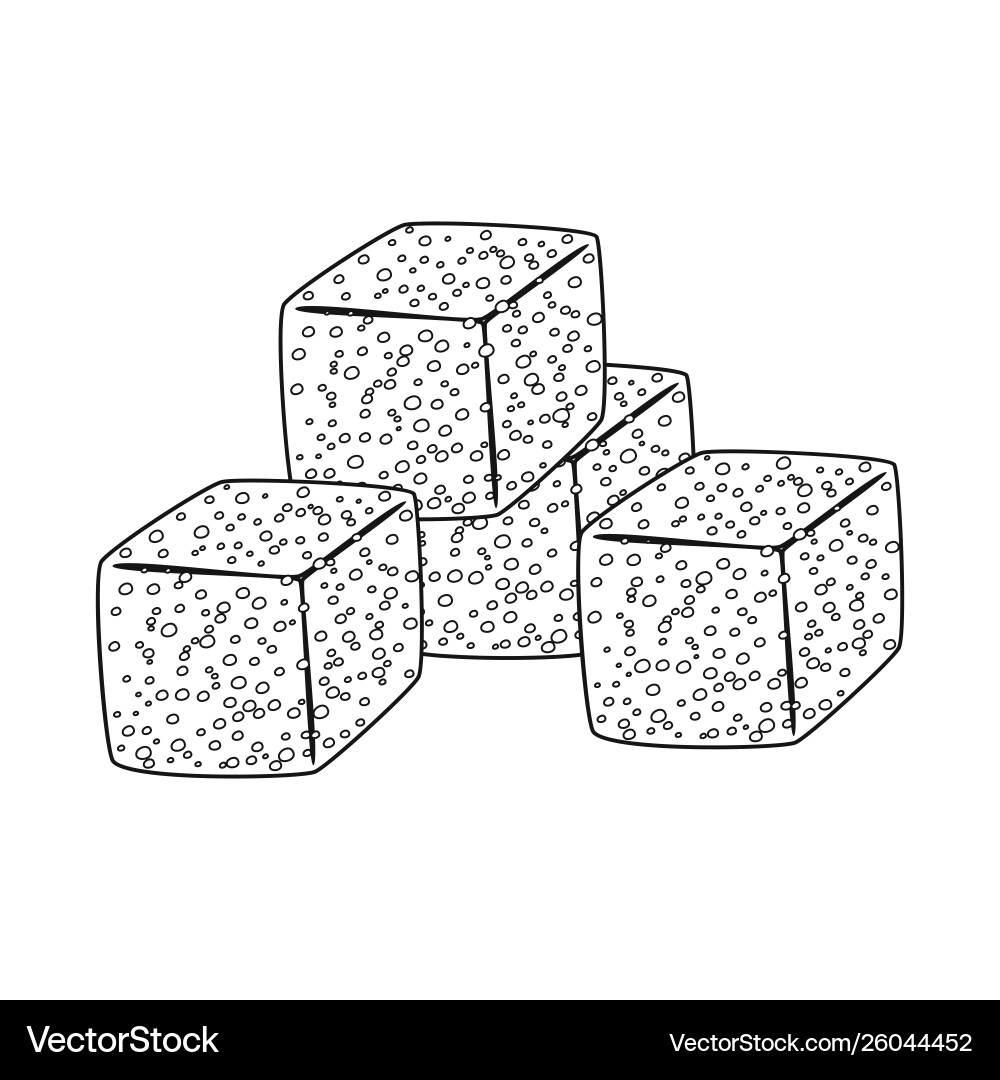 Isolated object croutons and bread icon set Vector Image