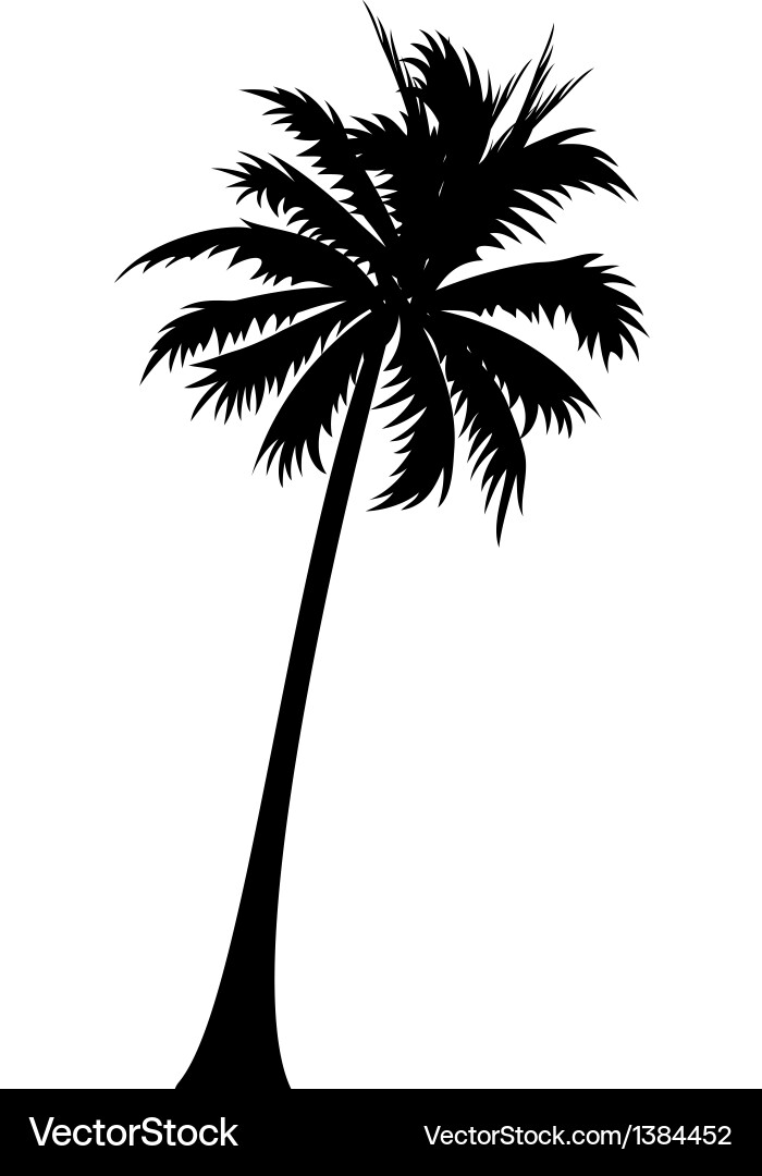 Isolated Palm Tree Icon vector image
