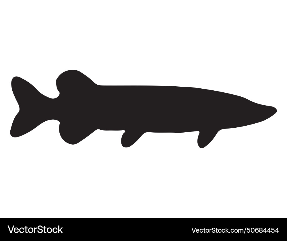 Northern pike fish silhouette art vector image