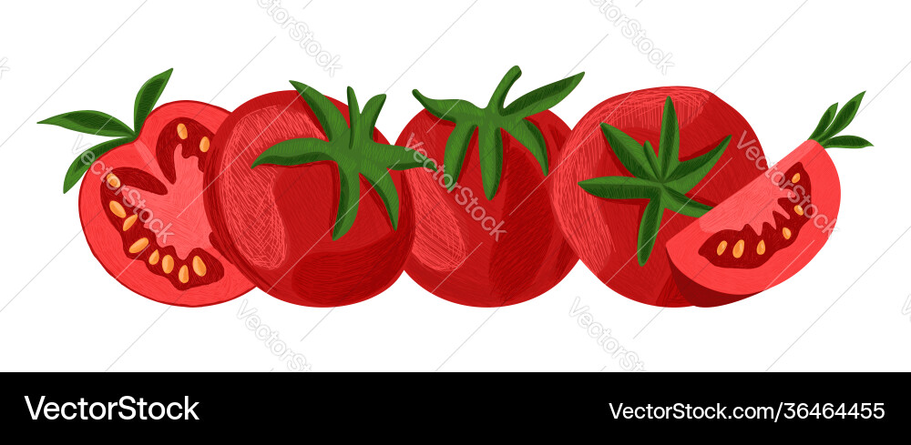 Isolated with a set tomatoes Vector Image