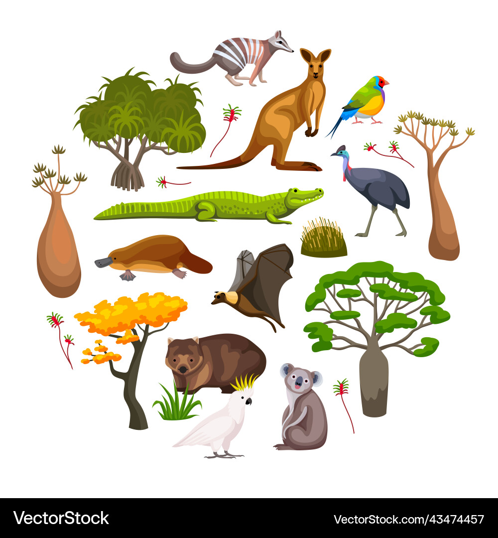 Australien Flora Fauna Zusammensetzung Australien Flora Fauna Zusammensetzung vektorbild