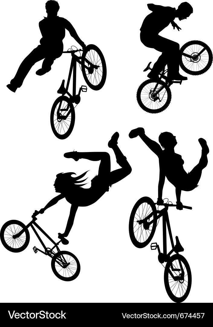 Bmxer Vector Image