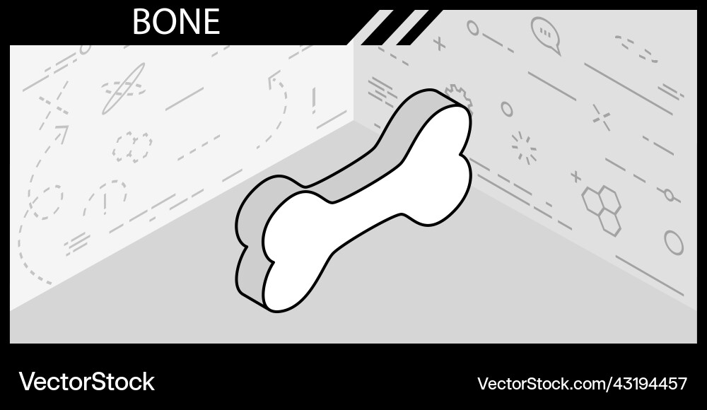 Bone isometric design icon web 3d colorful Bone isometric design icon web 3d colorful Vector Image