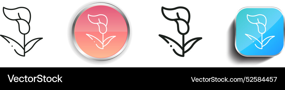 Calla lily icon thin linear regular and button vector image