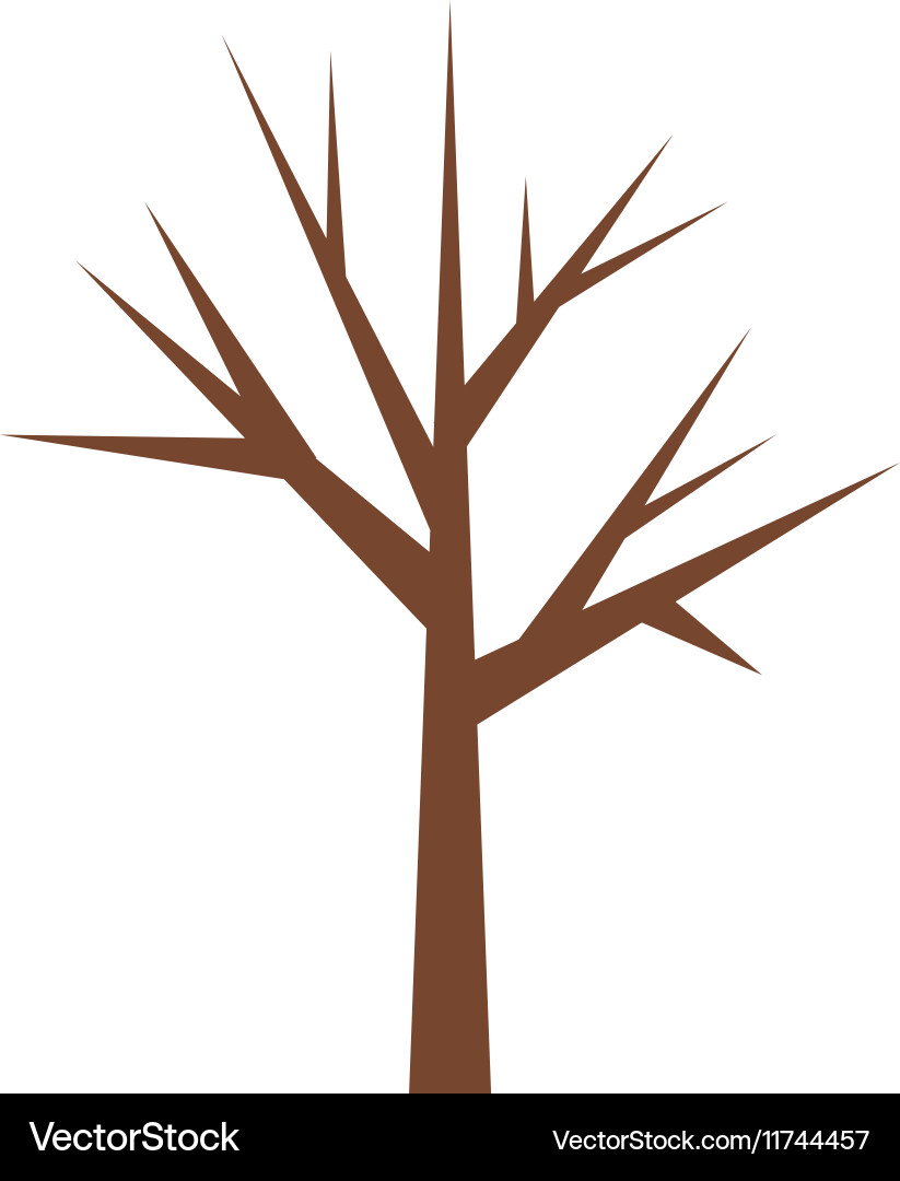 Tree trunk with branchs without leaves closeup vector image