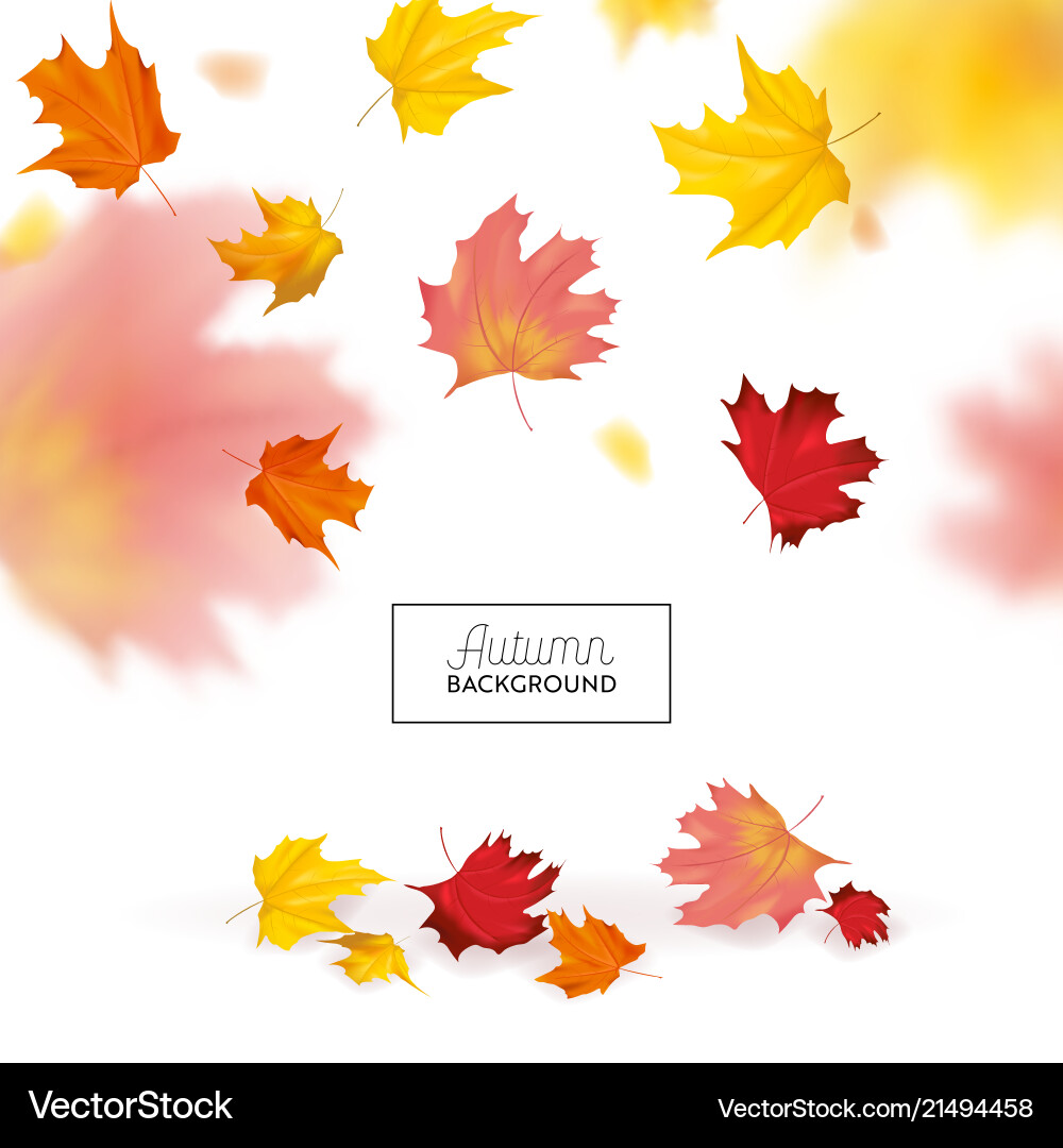 Autumn background with red and yellow maple leaves Autumn background with red and yellow maple leaves vector image