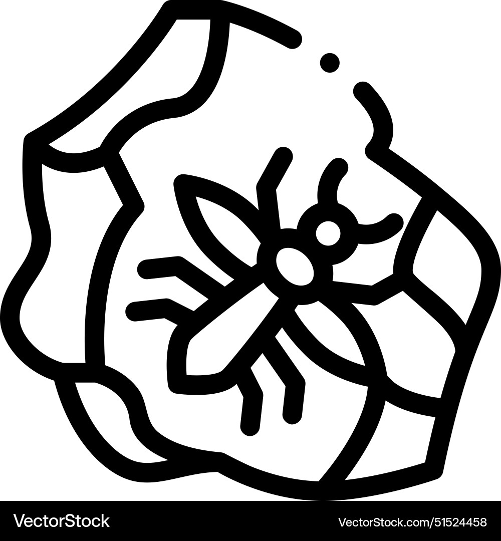 Beetle icon thin linear style design isolated Beetle icon thin linear style design isolated vector image